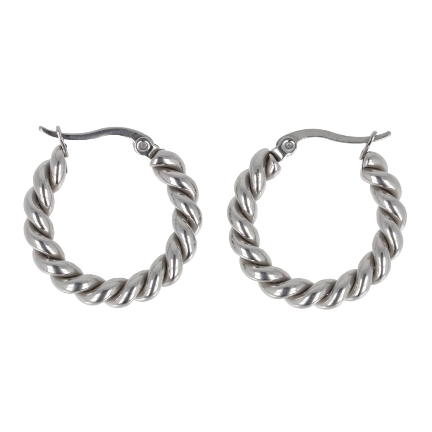 Twist and Shout Hoop Earrings